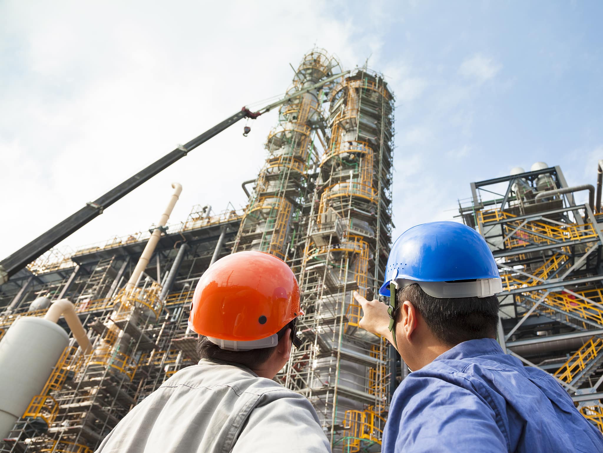 ATOM / Timekeeping and Cost Management Toadfly Professionals