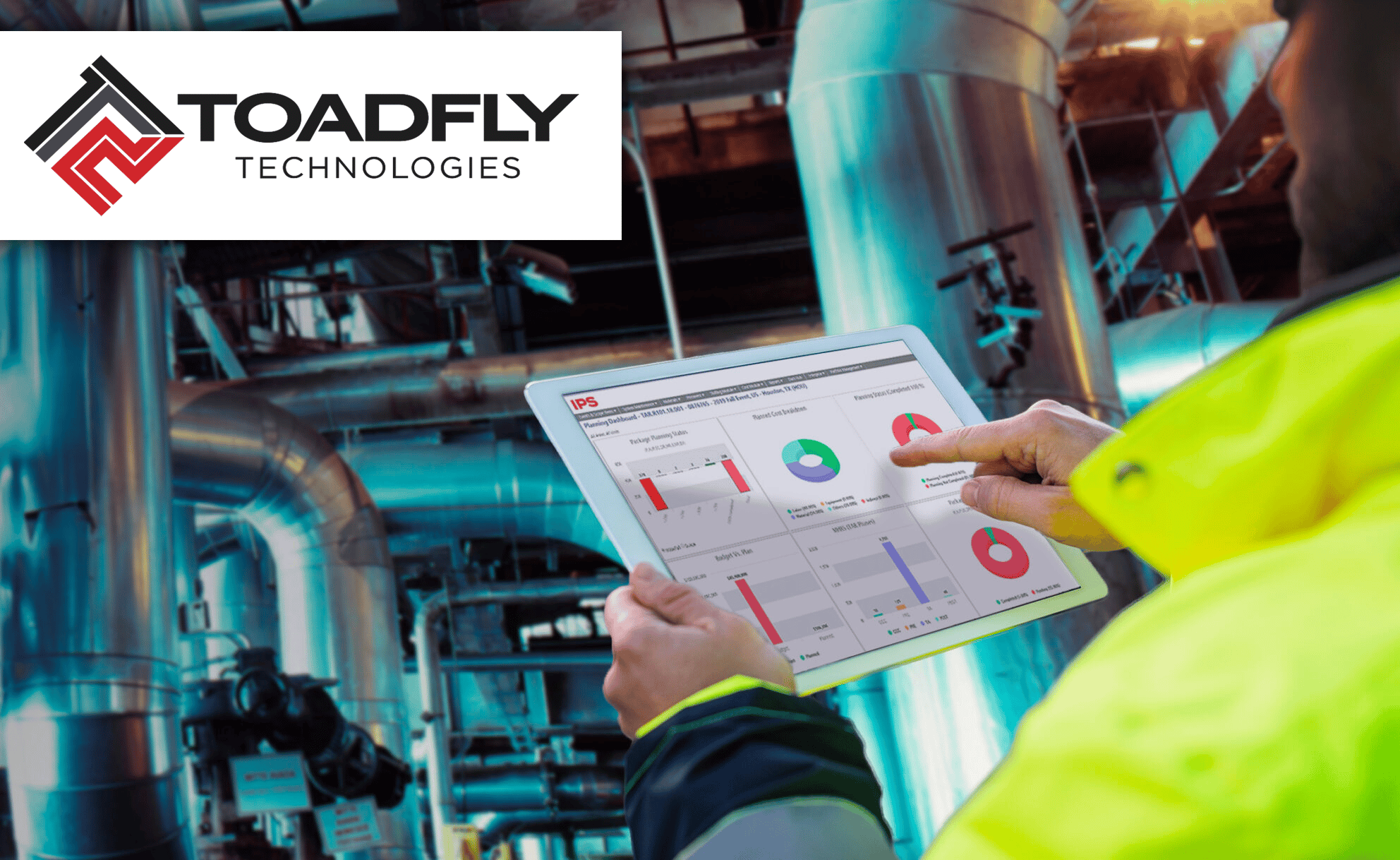 Courses - Toadfly Professionals